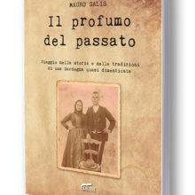 libro ediuni mauro salis copia